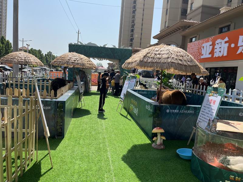 1685588094325788.jpg 3.jpg